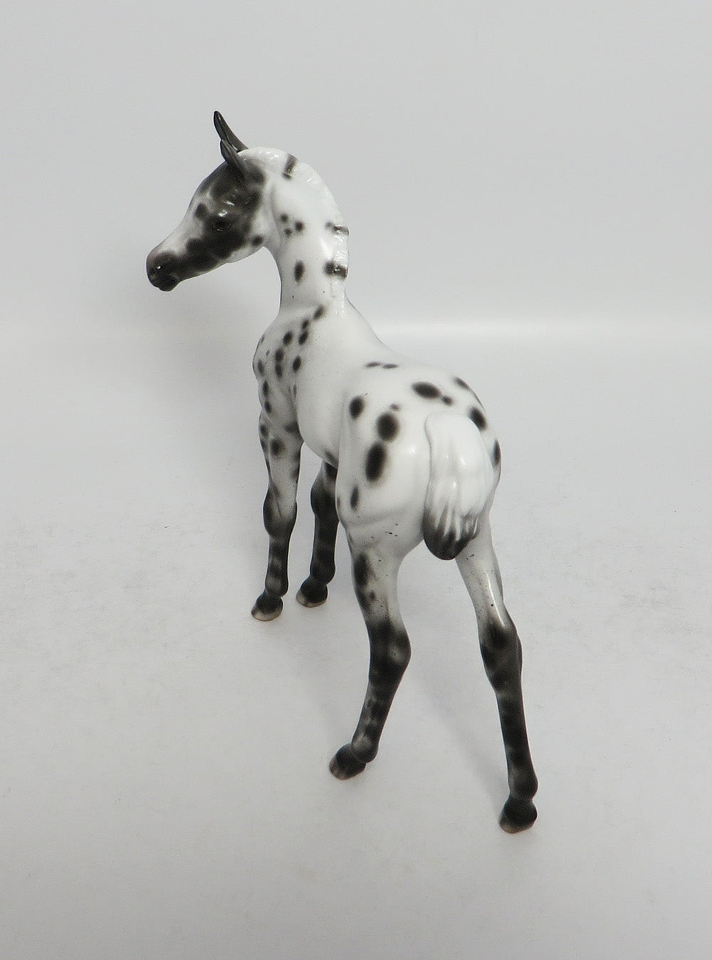 BLUE MONK-OOAK BLACK APPALOOSA FOAL BY SHERYL LEISURE 3/12/18
