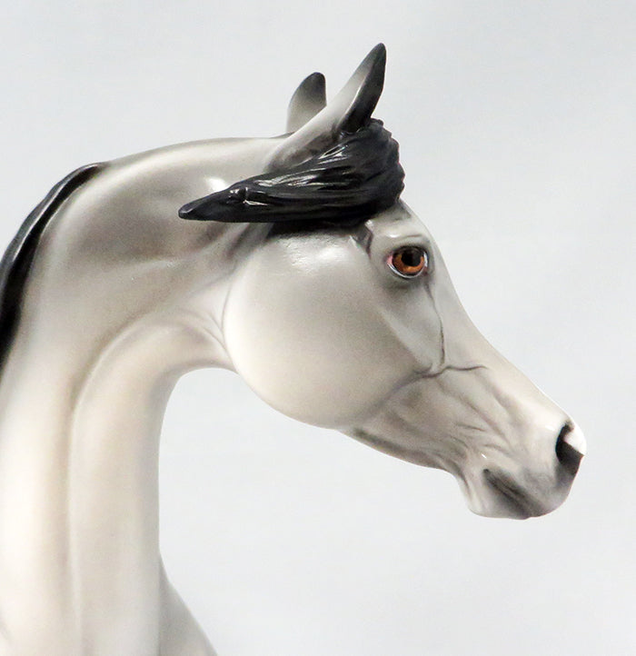 SAGUARO-LE-5 GREY APPALOOSA W/ BLACK POINTS ARABIAN MODEL HORSE 9/22