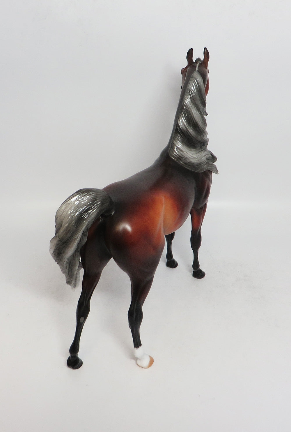FIREBUSH-LE-8 SILVER BAY ARABIAN MODEL HORSE BY AUDREY DIXON 3/12/18