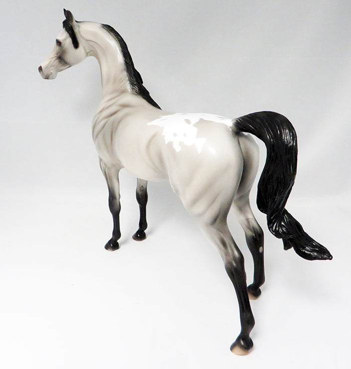 SAGUARO-LE-5 GREY APPALOOSA W/ BLACK POINTS ARABIAN MODEL HORSE 9/22
