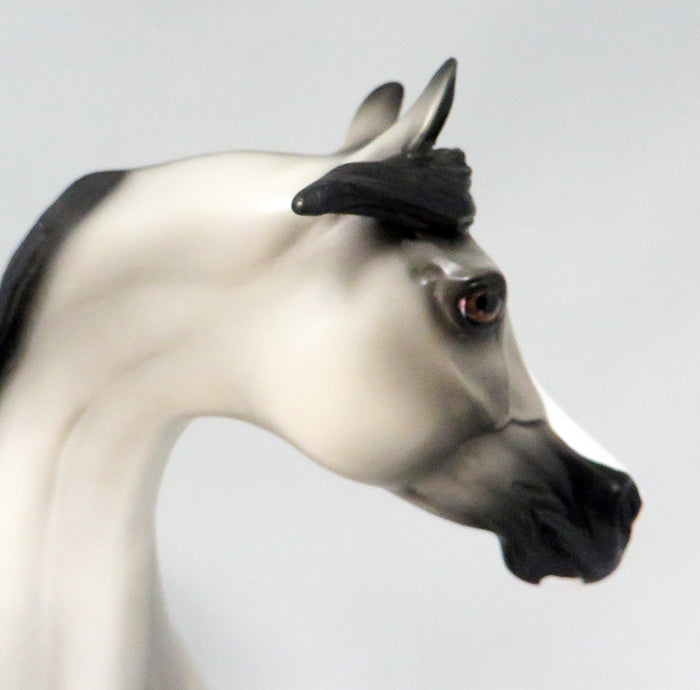 CACTUS JACK-LE-5 GREY W/ BLACK POINTS ARABIAN MODEL HORSE 9/22