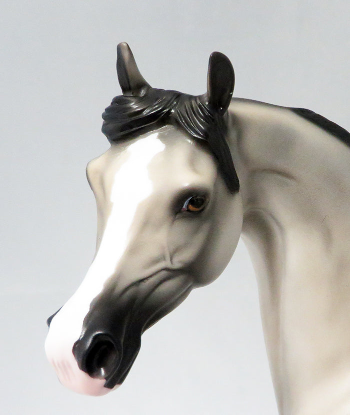 CACTUS JACK-LE-5 GREY W/ BLACK POINTS ARABIAN MODEL HORSE 9/22