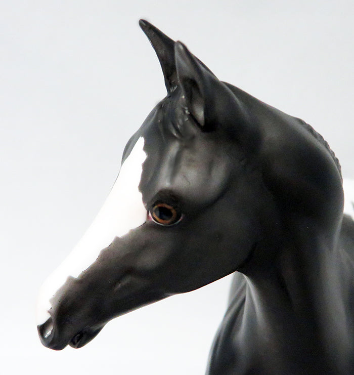 LARCENY &amp; LACE-OOAK APPALOOSA WEANLING MODEL HORSE 9/21