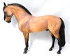 Andalusian