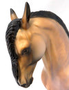 Frosted Buckskin