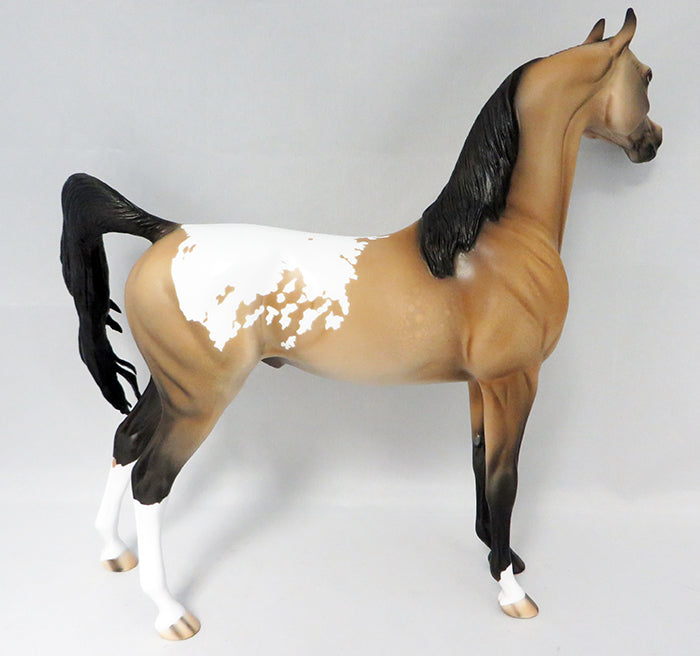 Appaloosa