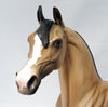 Arabian