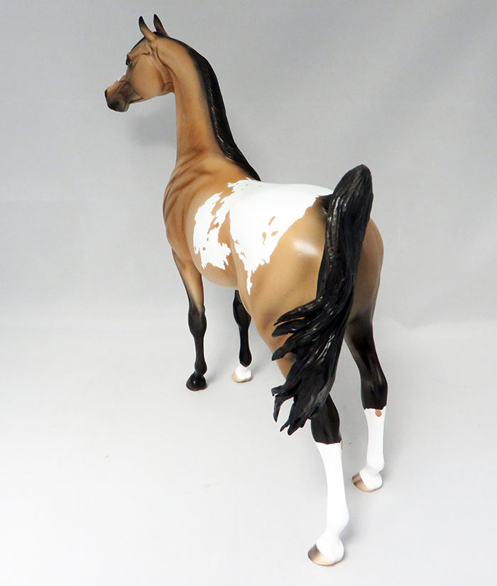 PRESSING CHARGES-OOAK BUCKSKIN APPALOOSA ARABIAN MODEL HORSE 9/21
