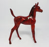 Arabian Foal