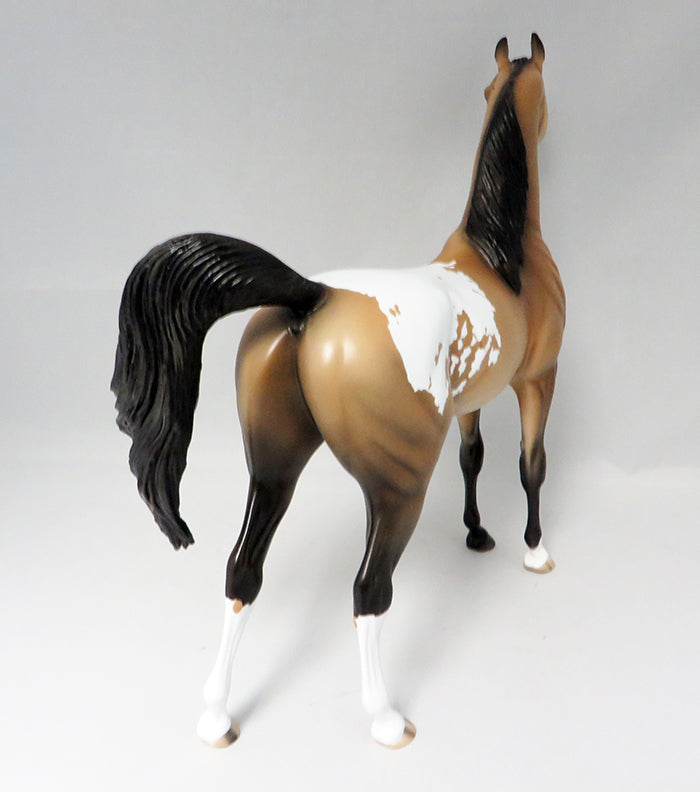 PRESSING CHARGES-OOAK BUCKSKIN APPALOOSA ARABIAN MODEL HORSE 9/21