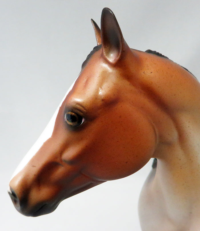 THE SWINDLE-OOAK BAY ROAN ISH MODEL HORSE 9/21