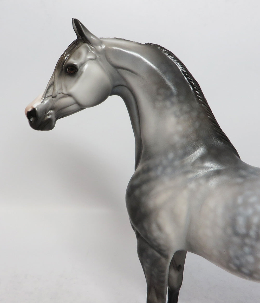 NO MISTAKE-OOAK DAPPLE GREY ARABIAN MODEL HORSE BY DAWN QUICK 3/16/18