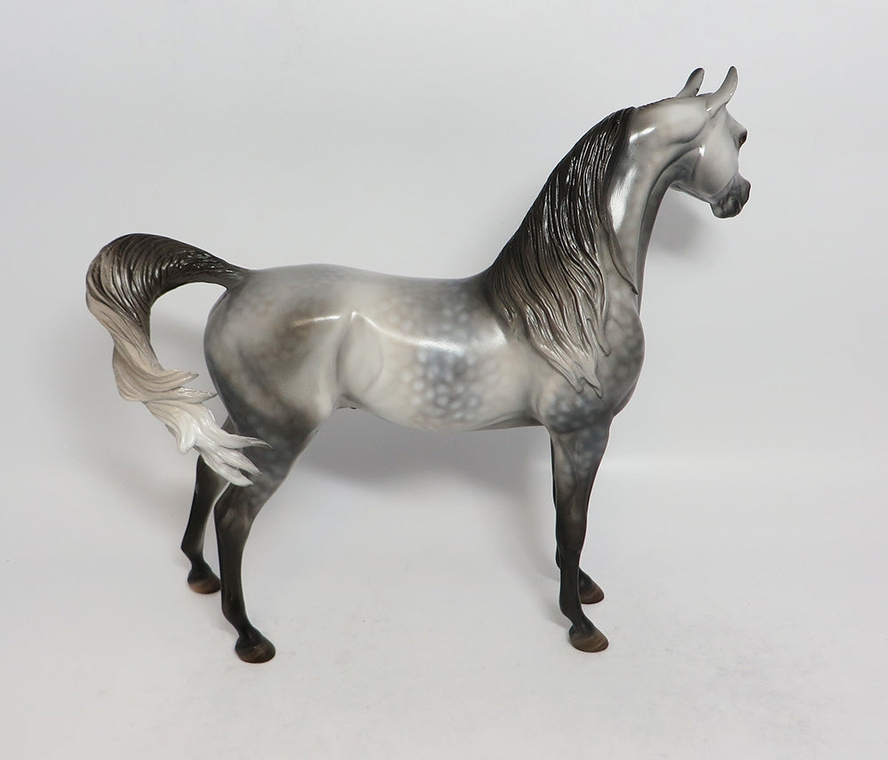 NO MISTAKE-OOAK DAPPLE GREY ARABIAN MODEL HORSE BY DAWN QUICK 3/16/18
