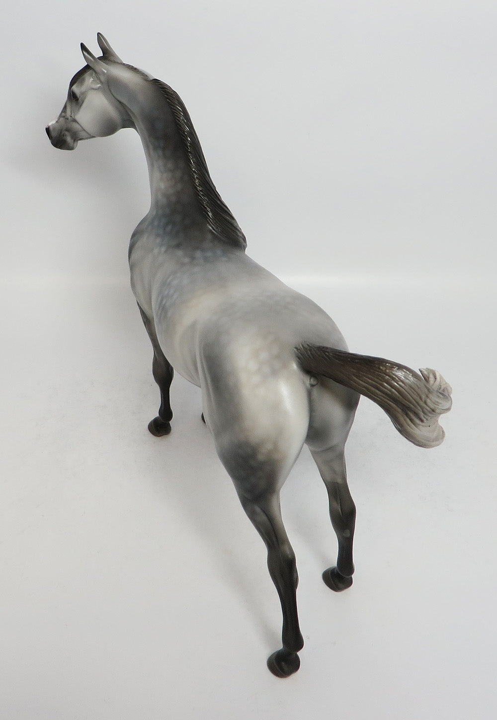 NO MISTAKE-OOAK DAPPLE GREY ARABIAN MODEL HORSE BY DAWN QUICK 3/16/18