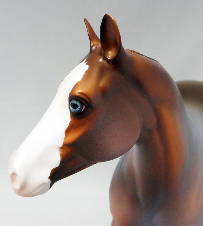 LOCKED &amp; LOADED-OOAK CHESTNUT ROAN PAINT ISH MODEL HORSE BY DAWN QUICK 9/21
