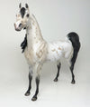 one of kind arabian