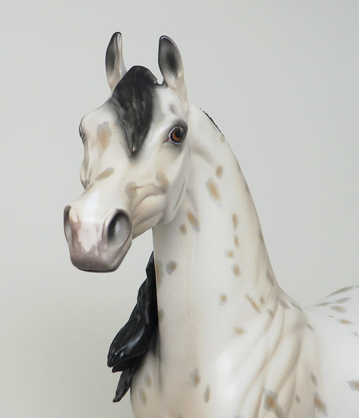 peter stone buckskin ps fantasia