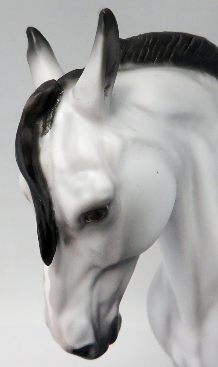 CRIME &amp; PUNISHMENT-OOAK GREY W/ BLACK POINTS ANDALUSIAN MODEL HORSE 9/21