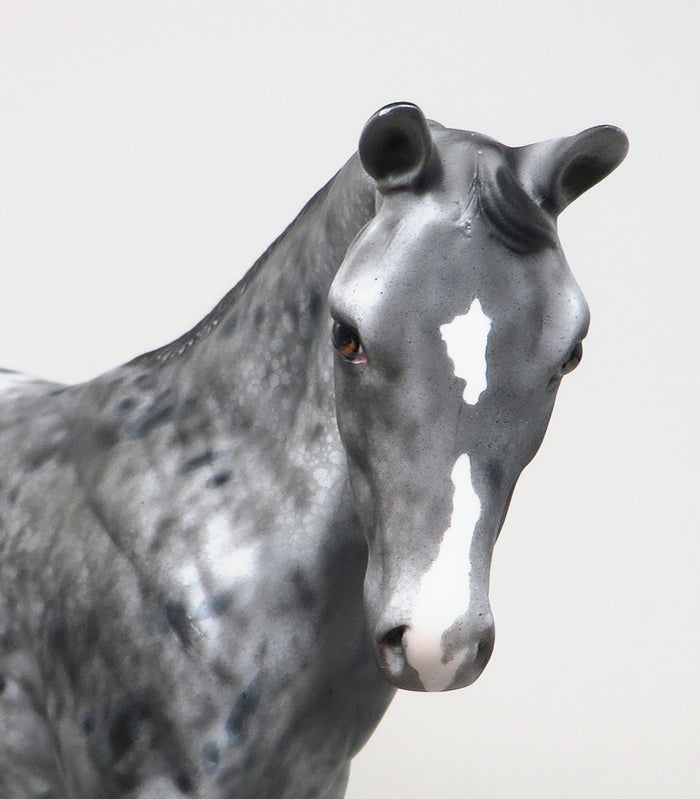 appaloosa weanling model horse 