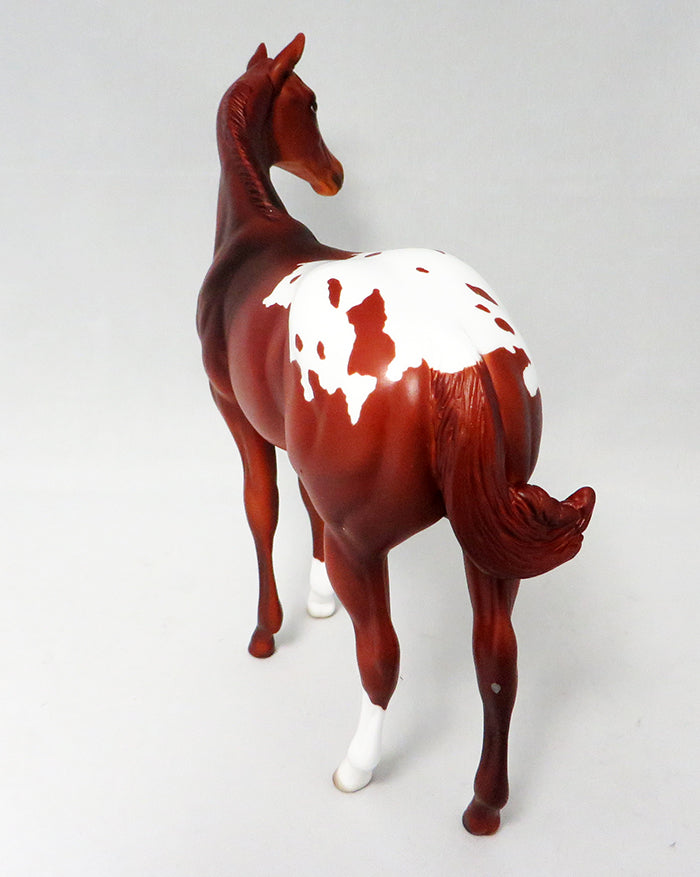 Appaloosa