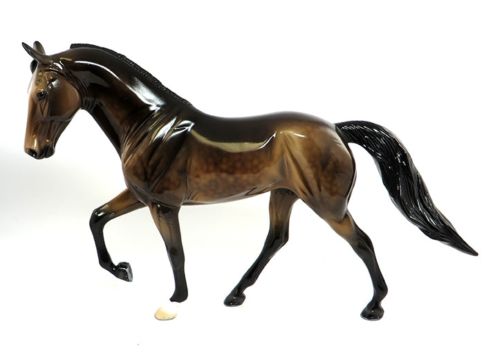 Tennessee Walking Horse