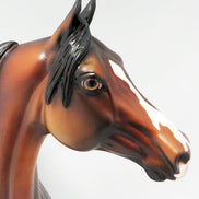 A THIEF IN THE NIGHT-OOAK DAPPLED BAY MORGAN HORSE 9/21