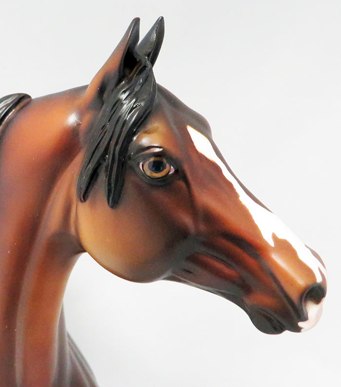 A THIEF IN THE NIGHT-OOAK DAPPLED BAY MORGAN HORSE 9/21