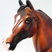 A THIEF IN THE NIGHT-OOAK DAPPLED BAY MORGAN HORSE 9/21