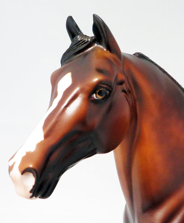 A THIEF IN THE NIGHT-OOAK DAPPLED BAY MORGAN HORSE 9/21