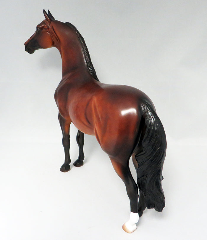 A THIEF IN THE NIGHT-OOAK DAPPLED BAY MORGAN HORSE 9/21