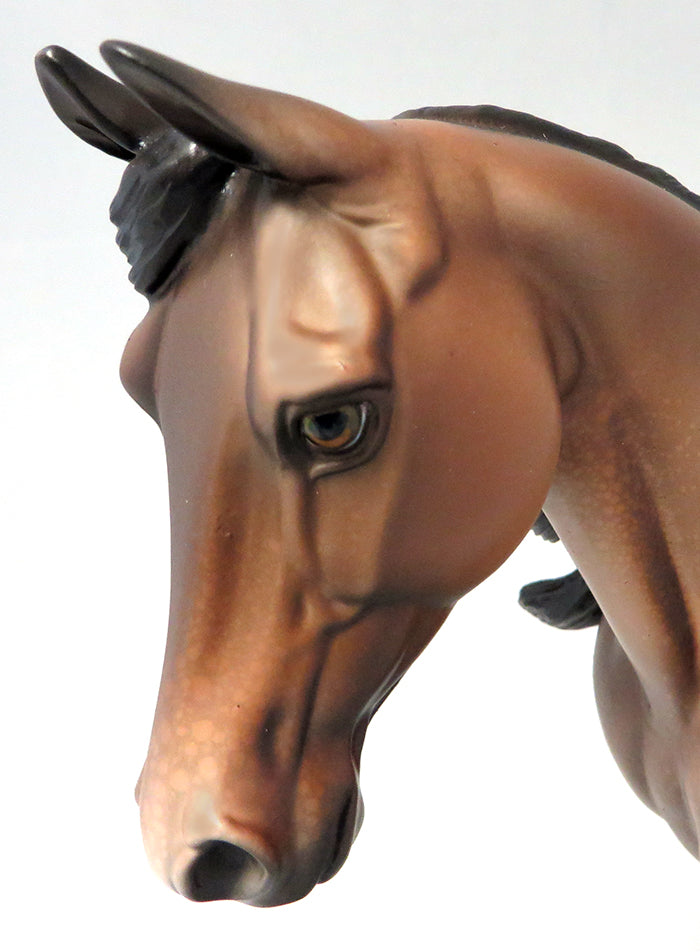FORBIDDEN SOUR-OOAK APPALOOSA PALOUSE MODEL HORSE 9/21