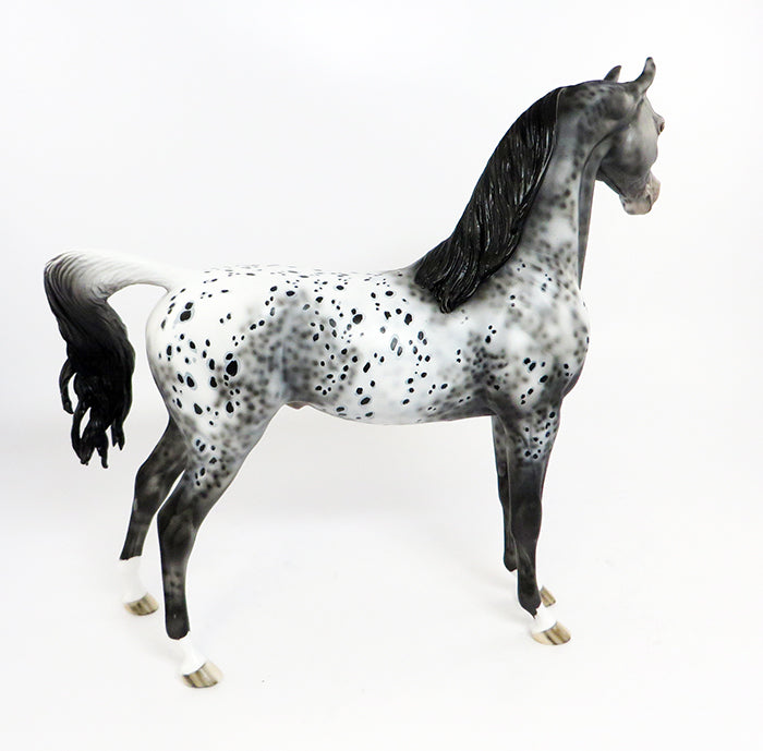 HELL RAISER-OOAK LOUD APPALOOSA ARABIAN BY DAWN QUICK 2/21