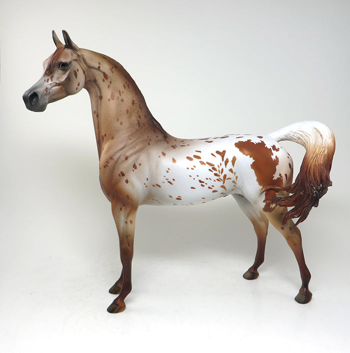 peter stone chestnut appaloosa arabian