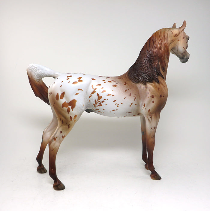 appaloosa