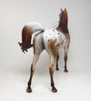 peter stone arabian