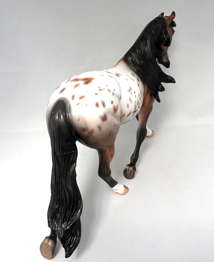 Appaloosa