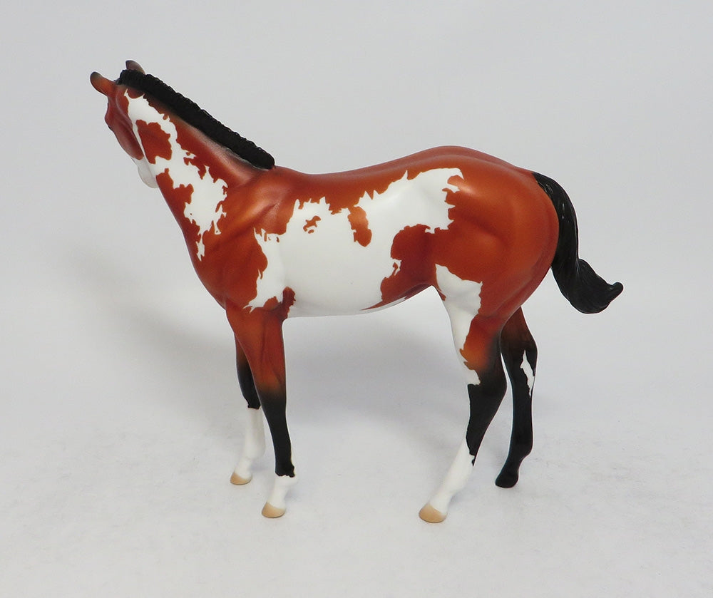 RAFF-OOAK BAY PINTO WEANLING MODEL HORSE 3/16/18
