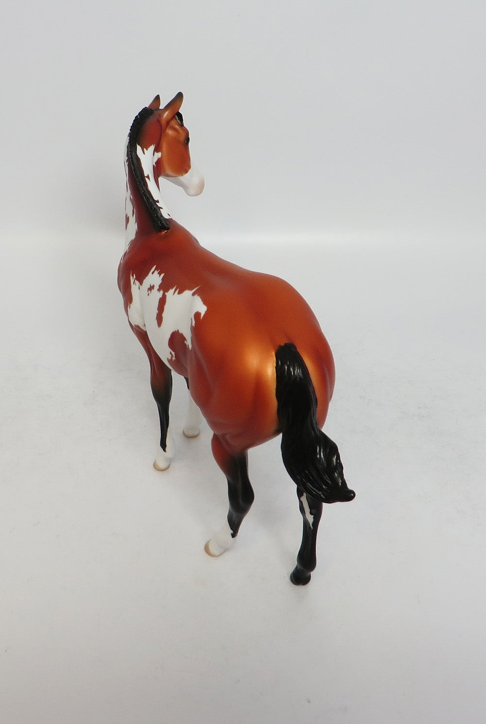 RAFF-OOAK BAY PINTO WEANLING MODEL HORSE 3/16/18