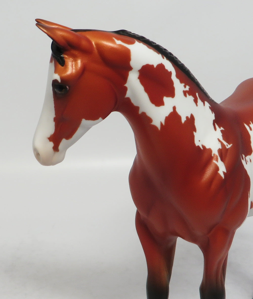 RIFF-OOAK BAY PINTO WEANLING MODEL HORSE 3/16/18