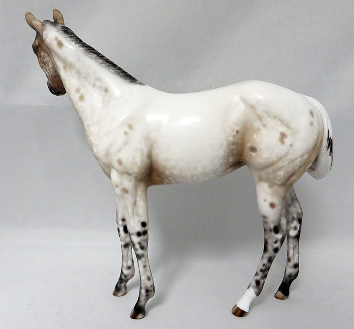 ZIP BABY-OOAK APPALOOSA WEANLING  MODEL HORSE BY SHERYL LEISURE 9/22