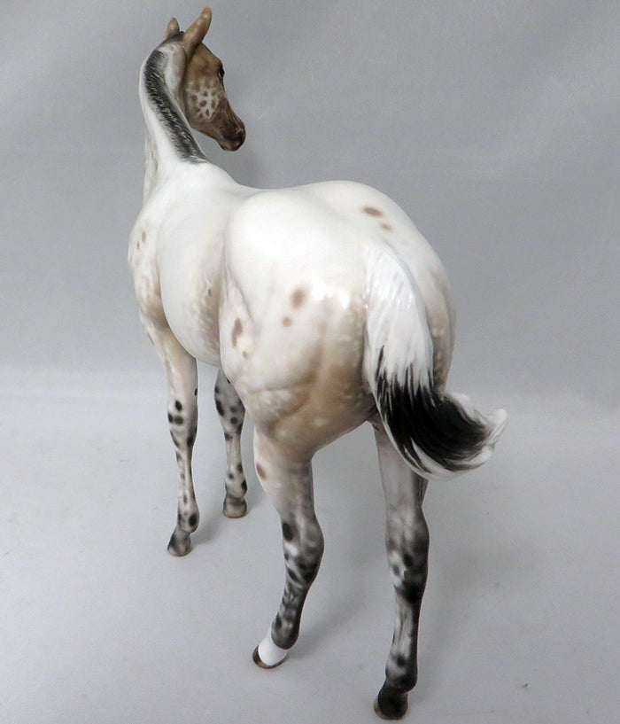 ZIP BABY-OOAK APPALOOSA WEANLING  MODEL HORSE BY SHERYL LEISURE 9/22