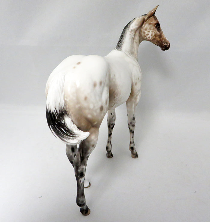 ZIP BABY-OOAK APPALOOSA WEANLING  MODEL HORSE BY SHERYL LEISURE 9/22