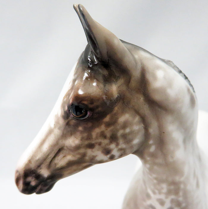 ZIP BABY-OOAK APPALOOSA WEANLING  MODEL HORSE BY SHERYL LEISURE 9/22