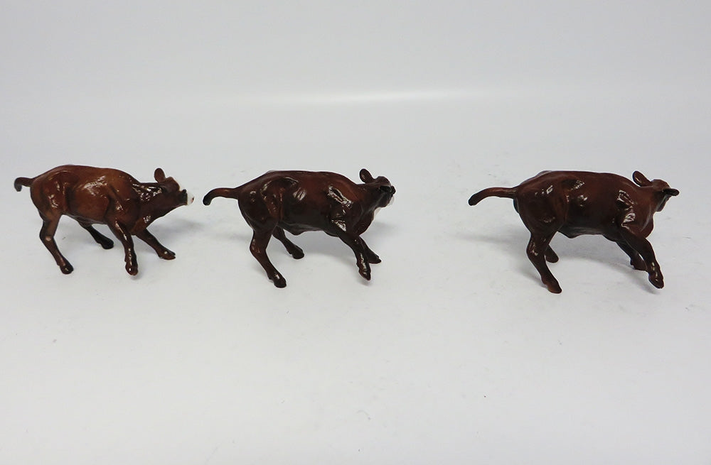 SANTO-LE-4 W/ VARIATION BROWN CALF W/ BALD FACE 08/09/17