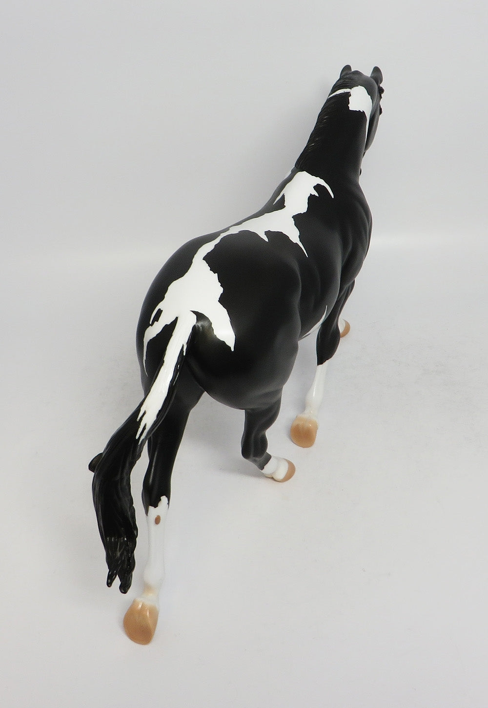 TESLA-OOAK BLACK PINTO PALOUSE MODEL HORSE 3/16/18