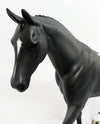 English Pony