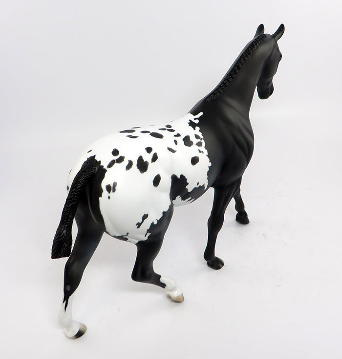 Appaloosa