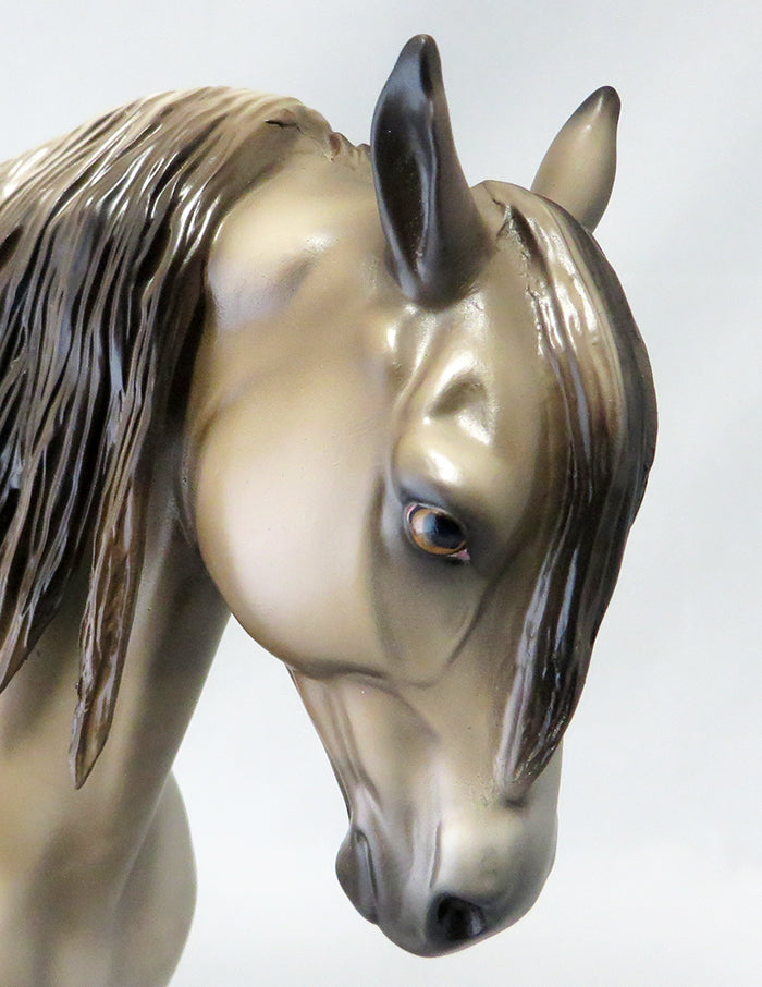 KAHLUA-N-CREME-DARK MOUSEY DUN ANDALUSIAN MODEL HORSE BY SHERYL LEISURE 9/22