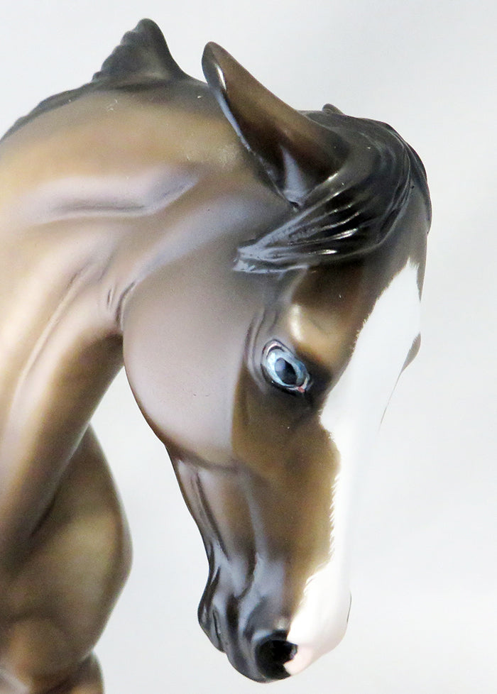 NOT WITHOUT COFFEE-OOAK BUCKSKIN THOROUGHBRED MODEL HORSE BY SHERYL LEISURE 9/23