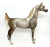 Arabian